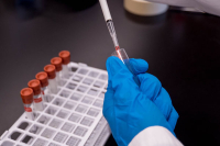 Phlebotomy Technician Course - May/June - Days - Sparta - 2025